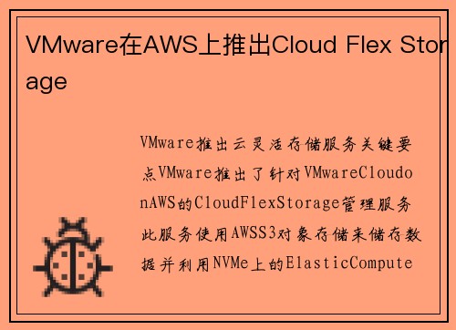 VMware在AWS上推出Cloud Flex Storage